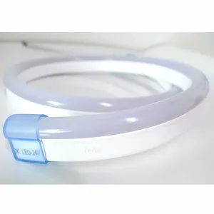 Spedizione gratuita da 25 metri rotolo bianco LED Neon tubo da giardino & bobina