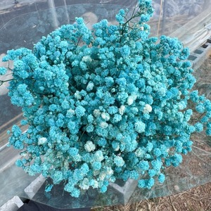 Lot en vrac de 400g-500g de Gypsophile séché pour la confection de cadeaux d'anniversaire, de cadeaux de fêtes et de bouquets - Product Image 5