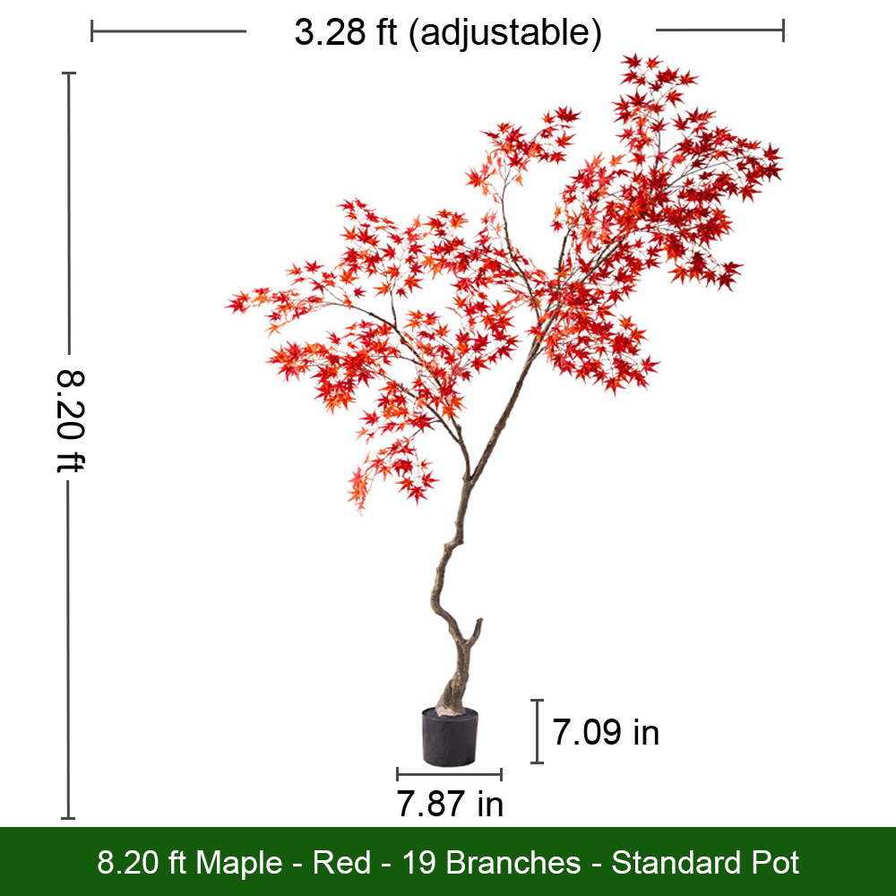 Árbol de Arce Rojo Vibrante
