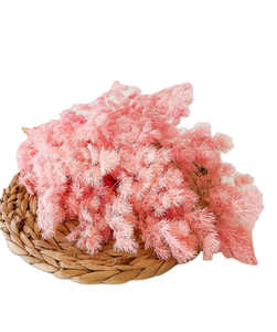 Helecho Ming de Espárragos Secos <span class=keywords><strong>Naturales</strong></span> Preservados, Venta al por Mayor, Colores Surtidos, Material Floral Esponjoso para DIY, Decoración para Bodas, Hogar y Fiestas - Product Image 1