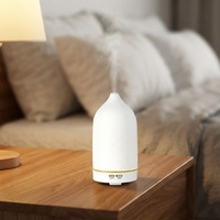 Vente directe d'usine, diffuseur d'huiles essentielles 100 ml, lumière LED, humidificateur aromathérapeutique en céramique fait main