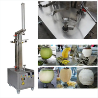 Ananas Schilmachine Winter Meloen Papaja Watermeloen Dunschiller