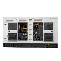 Groupe électrogène triphasé pour centrale électrique 100 kW 200 kW 300 kW, générateur diesel silencieux avec ATS en option, certifié EPA CE ISO