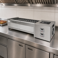 Parrilla Eléctrica Comercial de Acero Inoxidable para Asar a la Brasa, Ideal para Brochetas de Cordero y Restaurantes de Mariscos