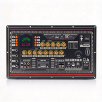 Carte d'amplificateur audio numérique DSP, amplificateur de puissance de classe D 5.0, module PCBA pour enceinte