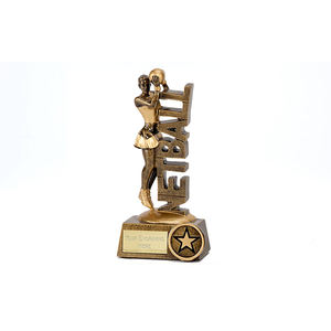 OEM अनुकूलित थोक राल नई पुरस्कार क्रिकेट ट्रॉफी और पुरस्कार, मेमोरियल स्मारिका बास्केटबॉल ट्रॉफी - Product Image 3