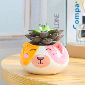 Pot de plantes fleurs Cactus en céramique, Design personnalisé de haute qualité, bon marché pour la décoration de <span class=keywords><strong>jardin</strong></span> - Product Image 5