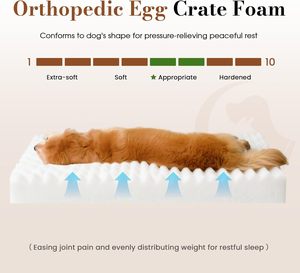 Cama para Perro Grande, Cama Ortopédica para Mascotas con Superficie de Felpa Suave y Espuma de Caja de Huevos, Lavable a Máquina, con Base Antideslizante - Product Image 2