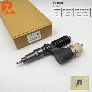 Injecteur de carburant 8113837 BEBE4B12005 pour moteur D12 USA SPEC - Product Image 5