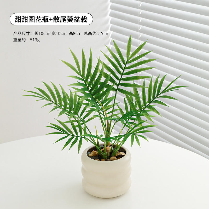 แจกันโดนัท ปาล์มอะเรก้า