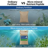 Engrais à base de peptides de levure basse température Huiqingyuan pour l'aquaculture de homards et crabes : contrôle les algues/cyanobactéries, stimule la dissolution