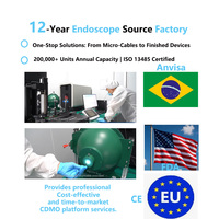 Endoscopio Desechable USB de 1.6mm 160K OVM6946, Entrega Rápida en 15 Días, MOQ 100 Piezas, Fábrica con Certificación ISO 13485, MDD/MDR