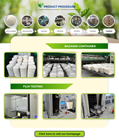 Assiettes et bols en bagasse végétale robustes et compostables pour événements écologiques et services de traiteur