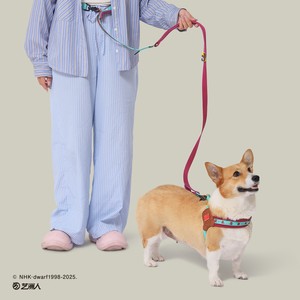 Harnais pour chien Huayuan, petit modèle, sangle de poitrine réglable pour la promenade, ajustement confortable - Product Image 3