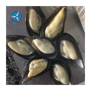 SANFENG SEAFOOD: Cozze Congelate a Mezza Conchiglia Affidabili per Supermercati e Servizi di Catering in Malesia - Product Image 5