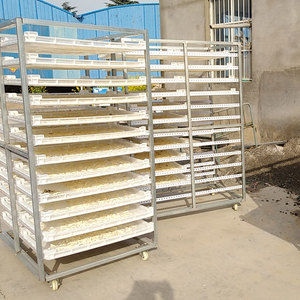 Sécheuses à bas prix, ligne de déshydratation personnalisable pour condiments et légumes, four de séchage pour l'ail - Product Image 3