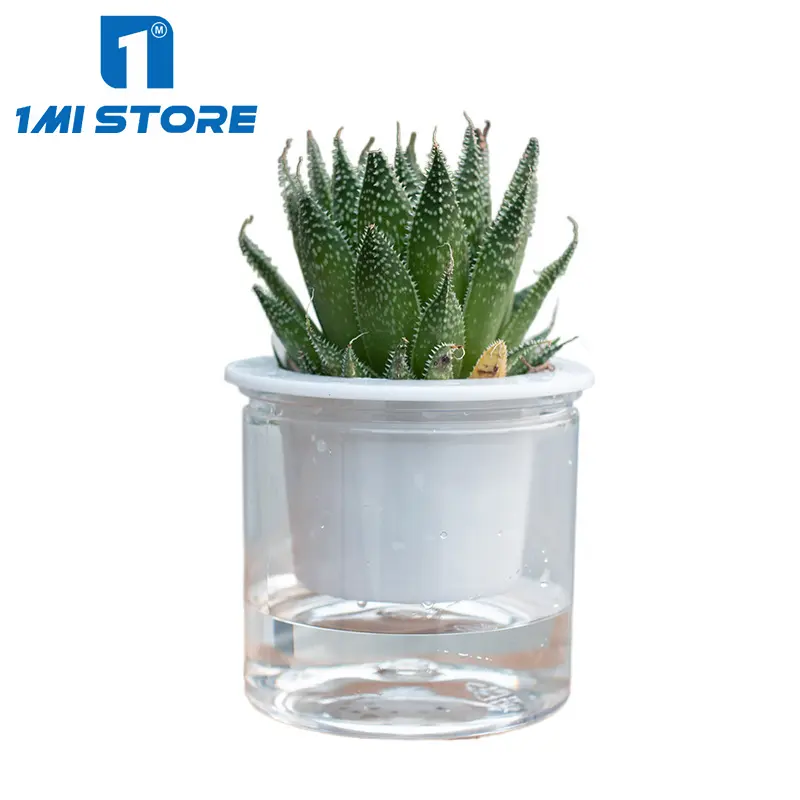 Cacto bonito PotAutomatic rega transparente plástico vaso de flores fornecimentos de jardim Plant Pot vaso para decoração home