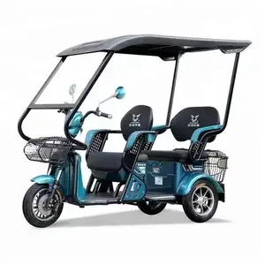 Small three wheeled taxis selling 60V 2000W electric passenger pedal tricycles