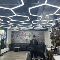 Luz LED Hexagonal SUEZ de Alta Calidad 6000K para Taller de Automóviles, Oficina y Uso en Hoteles - Luz para Detallado de Automóviles