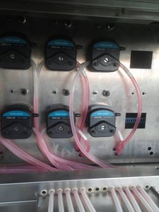 หัวปั๊มเพอริสตัลติก YZ15-13 - Product Image 2