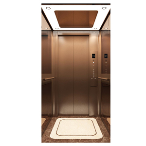 Ascenseur domestique HD-V2109, capacité de charge 320Kg-400Kg, ascenseur pour villa - Product Image 1