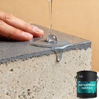 Revêtement acrylique liquide résistant aux UV (durableté extérieure de plus de 10 ans), étanche IPX7, résistant aux fissures, pour usage multi-surfaces, bâtiment