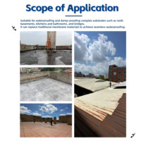 AJIELIAN Prix de gros Revêtement de toiture isolant thermique et imperméable pour béton et métal, brossable