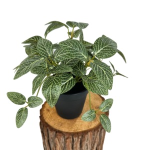 Bonsái de plástico Artificial pequeño, planta en maceta, jardín para el hogar, malla, hierba, decoración para interiores y exteriores, flores falsas, pino, bodas, Navidad - Product Image 5