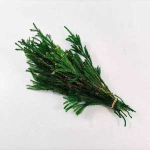 PPL13 <span class=keywords><strong>Club</strong></span> Mousse Décoration Fleur Paysage Matériel Pin Herbe Séchée Diaphasiastrum Veitchii Feuilles Séchées <span class=keywords><strong>Club</strong></span> Mousse - Product Image 4