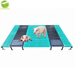 Plancher en fonte durable pour fumier <span class=keywords><strong>de</strong></span> porc destiné aux fermes d'élevage et aux truies, neuf et d'<span class=keywords><strong>occasion</strong></span>, fabriqué en acier et en métal - Product Image 2