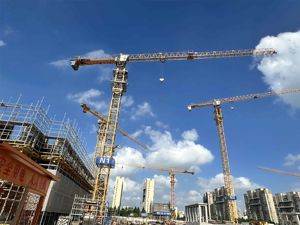 Precios de Fábrica Grúa Torre de Construcción China Usada de 60m con Base Fija, Motor y Caja de Cambios, Capacidad de 10t, en Perfecto Estado - Product Image 2