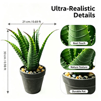 Plantes artificielles de bureau en aloe vera varié réaliste de 30 cm pour la décoration de la maison et du bureau, petite plante artificielle verte décorative
