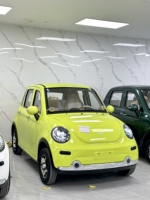 Vehículo Eléctrico de Nueva Energía de 4 Plazas con Volante a la Izquierda, Totalmente Nuevo, en Venta