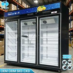 Refrigerador Comercial de Vidrio con 3 Puertas y Gran Volumen de 1248L para Exhibición de Bebidas, Enfriador Vertical OEM/ODM - Product Image 2