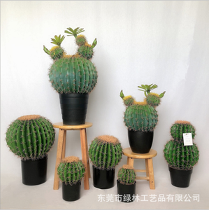 Grande <span class=keywords><strong>boule</strong></span> de <span class=keywords><strong>cactus</strong></span> artificielle en plastique Echinopsis Tubiflora Bonsaï pour décorations de mariage - Product Image 1