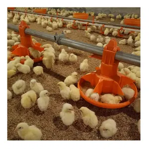 ブロイラーコープ給餌ラインシステム農機具家禽農業放し飼い鶏小屋地上自動フィーダーパン