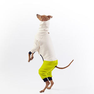 Distribuidor de <span class=keywords><strong>ropa</strong></span> para mascotas, venta al por mayor, mono de cuatro patas, <span class=keywords><strong>ropa</strong></span> italiana de <span class=keywords><strong>galgo</strong></span> - Product Image 3