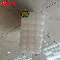461-6246 4616246 Réservoir d'eau sur le radiateur Applicable aux groupes électrogènes C15 GEN SE Produits marins C18 GEN SE D550GC
