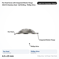 Pan Head Screw with Integrated Washer Flange 304/316 Stainless Steel Self Drilling 4.2 x 25 mm Phillips Drive Wholesale