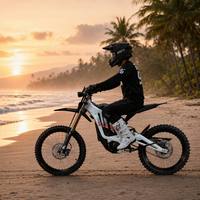 Moto tout-terrain électrique Surron Ultra Bee, batterie lithium 74V, moto cross électrique pour adultes