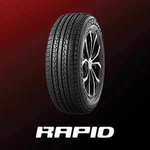 Neumático para Auto de Pasajeros Rapid All-Season 225/65R17 102H Ecosaver - Product Image 1