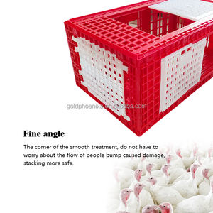 Gabbia di Trasporto per Pollame di Grandi Dimensioni in Plastica per Tacchini, Galline Ovaiole e Polli da Carne - Vendita Calda - Product Image 4