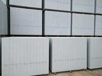 Machine légère de fabrication de blocs AAC à vapeur PLC et boîte de vitesses avec une productivité élevée pour la production de briques