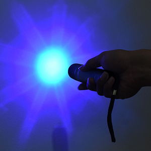 OEM Mini B9 Keychain <strong>Light</strong> 9LED Blue Case Blue <strong>Light</strong> 480nm 9LEDs Gift Flashlight <strong>Keyring</strong> Torch - Product Image 6