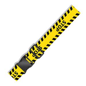 Correa de equipaje para viajes transfronterizos con diseño de dibujos animados de anime y estilo étnico, con hebilla de una sola pieza. - Product Image 6