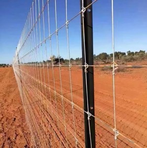 Bán Chạy nhất kinh tế đồng cỏ hàng rào Net là mạnh mẽ và hiệu quả chi phí làm cho nó một người trợ giúp tốt cho đồng cỏ chăn thả. - Product Image 1