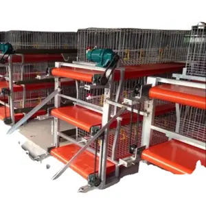 Système de cage automatique pour poulets de chair de volaille de type H à 3 niveaux et 4 niveaux