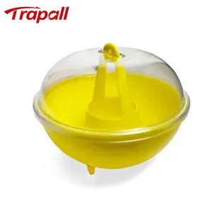 Outdoor Hanging Plastic Dome Shaped Wasp Capture Reusable Hornet Bee Trap