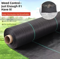 Nouveau tapis anti-corrosion noir en PP extrudé à faible coût pour le contrôle des adventices, protection environnementale, durée de vie 3-5 ans, agriculture, Shandong LV