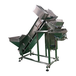 Machine à éplucher les <span class=keywords><strong>oignons</strong></span> à haute productivité / Machine de pesage automatique / Machine d'emballage des <span class=keywords><strong>oignons</strong></span> - Product Image 6